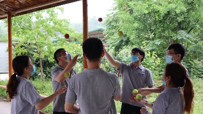 技术部拓展活动